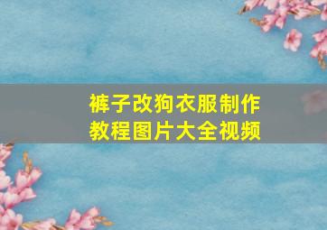 裤子改狗衣服制作教程图片大全视频