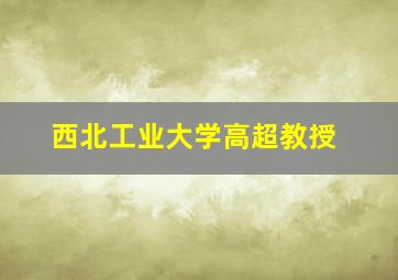 西北工业大学高超教授