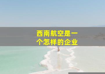 西南航空是一个怎样的企业