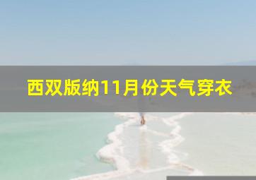 西双版纳11月份天气穿衣