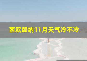 西双版纳11月天气冷不冷