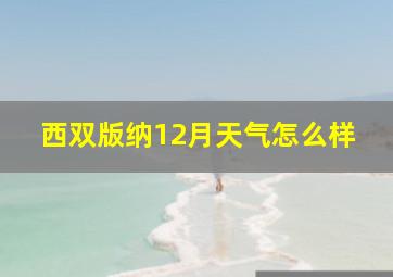 西双版纳12月天气怎么样