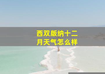 西双版纳十二月天气怎么样