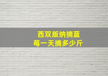 西双版纳摘蓝莓一天摘多少斤