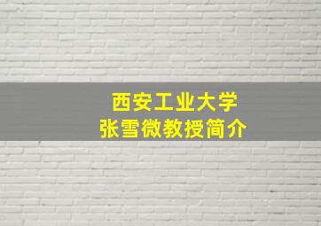 西安工业大学张雪微教授简介