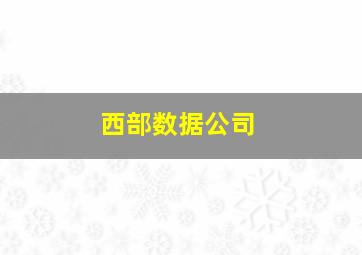 西部数据公司