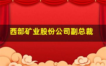 西部矿业股份公司副总裁