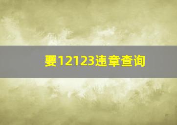 要12123违章查询