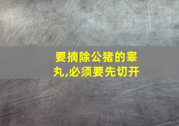 要摘除公猪的睾丸,必须要先切开