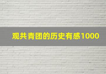 观共青团的历史有感1000