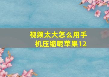 视频太大怎么用手机压缩呢苹果12