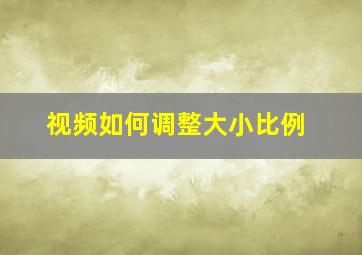 视频如何调整大小比例