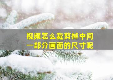 视频怎么裁剪掉中间一部分画面的尺寸呢