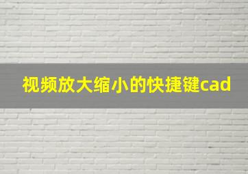 视频放大缩小的快捷键cad