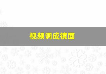 视频调成镜面