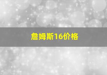 詹姆斯16价格