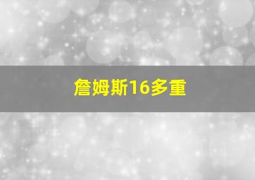 詹姆斯16多重