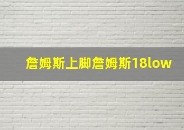 詹姆斯上脚詹姆斯18low