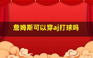 詹姆斯可以穿aj打球吗