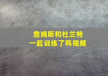 詹姆斯和杜兰特一起训练了吗视频