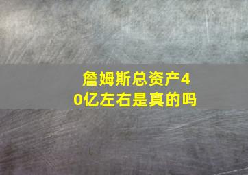 詹姆斯总资产40亿左右是真的吗