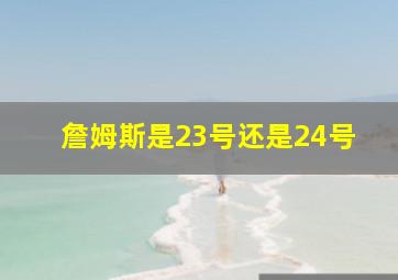 詹姆斯是23号还是24号