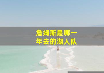 詹姆斯是哪一年去的湖人队