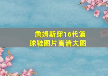 詹姆斯穿16代篮球鞋图片高清大图