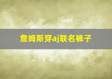 詹姆斯穿aj联名裤子