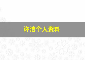 许洁个人资料