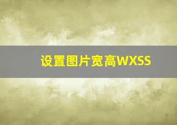 设置图片宽高WXSS