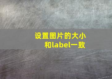 设置图片的大小和label一致