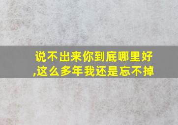 说不出来你到底哪里好,这么多年我还是忘不掉