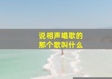 说相声唱歌的那个歌叫什么