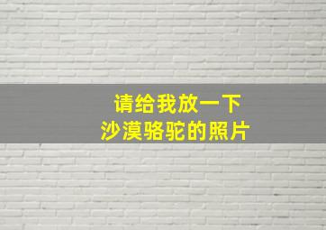 请给我放一下沙漠骆驼的照片