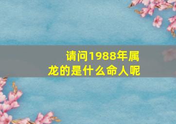 请问1988年属龙的是什么命人呢