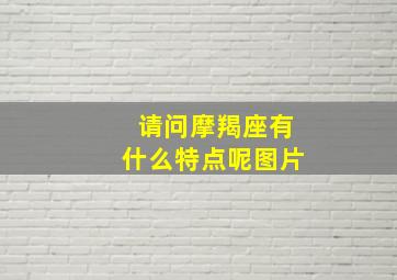 请问摩羯座有什么特点呢图片