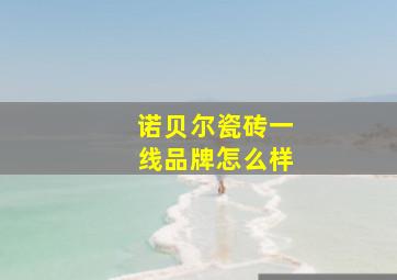 诺贝尔瓷砖一线品牌怎么样