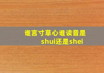 谁言寸草心谁读音是shui还是shei