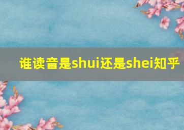 谁读音是shui还是shei知乎