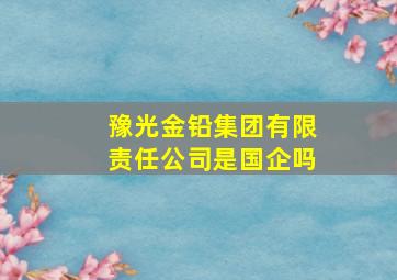 豫光金铅集团有限责任公司是国企吗