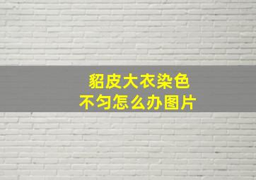 貂皮大衣染色不匀怎么办图片