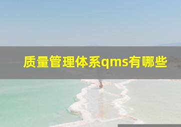 质量管理体系qms有哪些