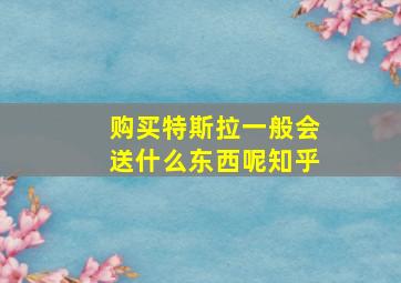 购买特斯拉一般会送什么东西呢知乎