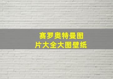 赛罗奥特曼图片大全大图壁纸