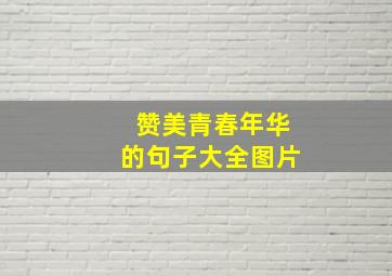 赞美青春年华的句子大全图片