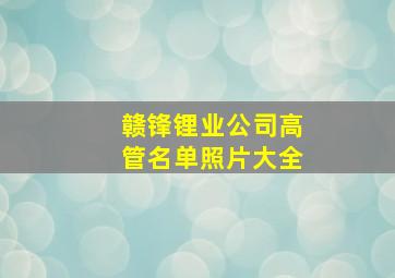 赣锋锂业公司高管名单照片大全