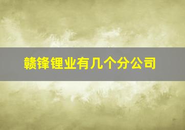 赣锋锂业有几个分公司