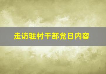 走访驻村干部党日内容