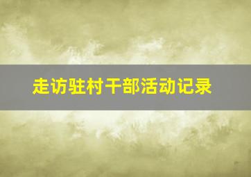 走访驻村干部活动记录